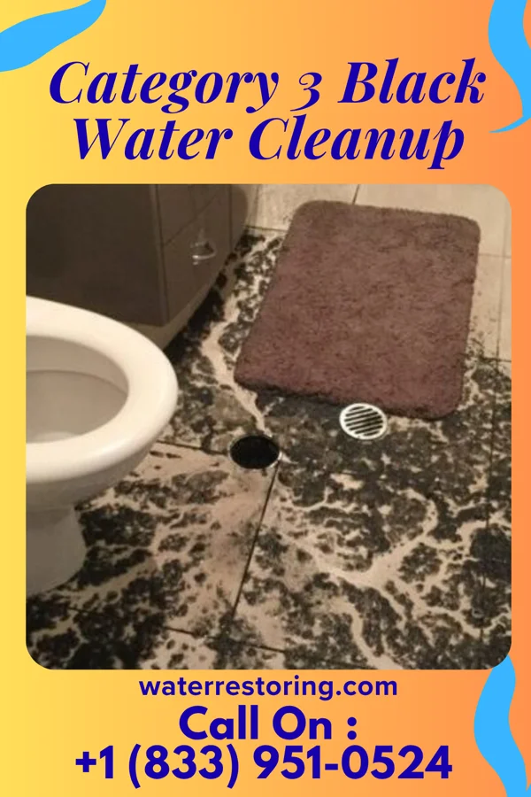 Category 3 Black Water Cleanup in Honolulu, HI
