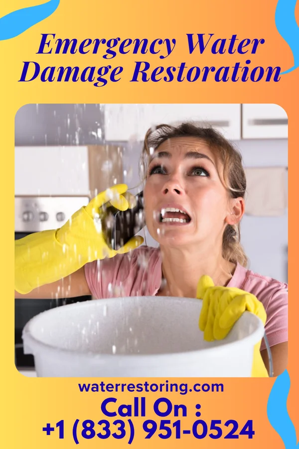 Emergency Water Damage Restoration in Honolulu, HI