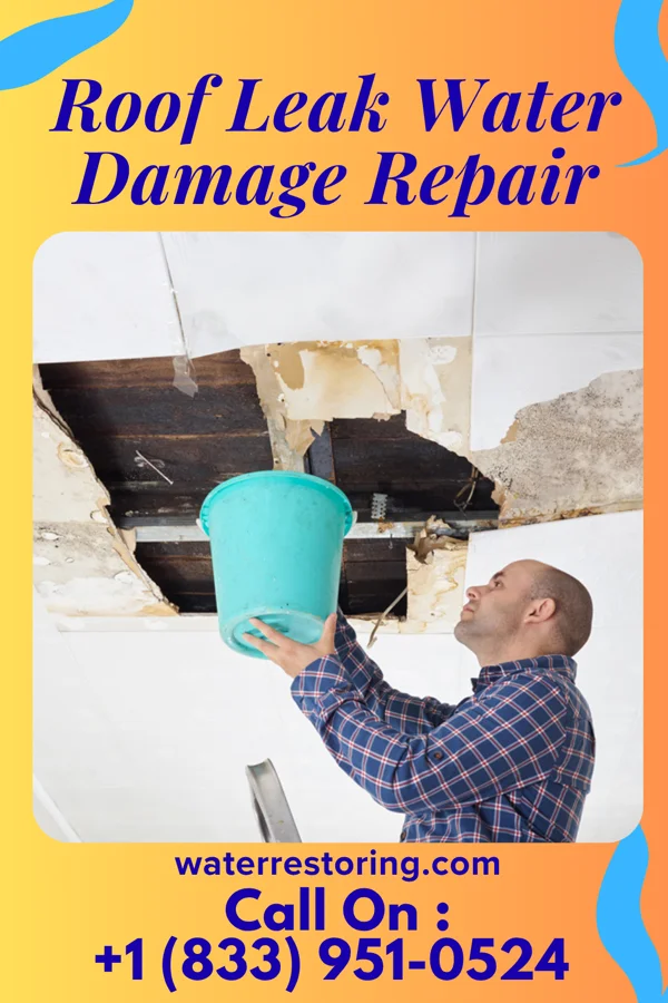 Roof Leak Water Damage Repair in Honolulu, HI